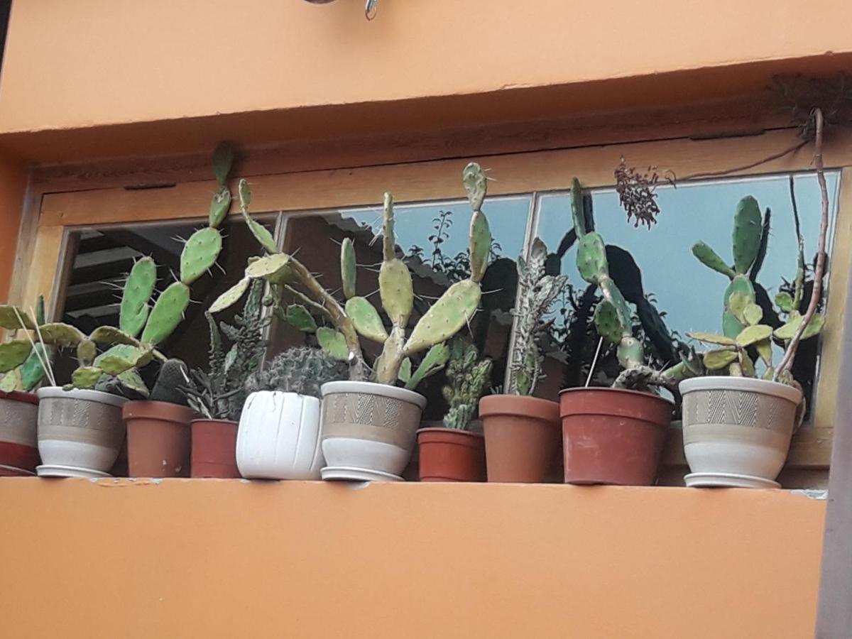 דירות Olavarría La Biblioteca מראה חיצוני תמונה